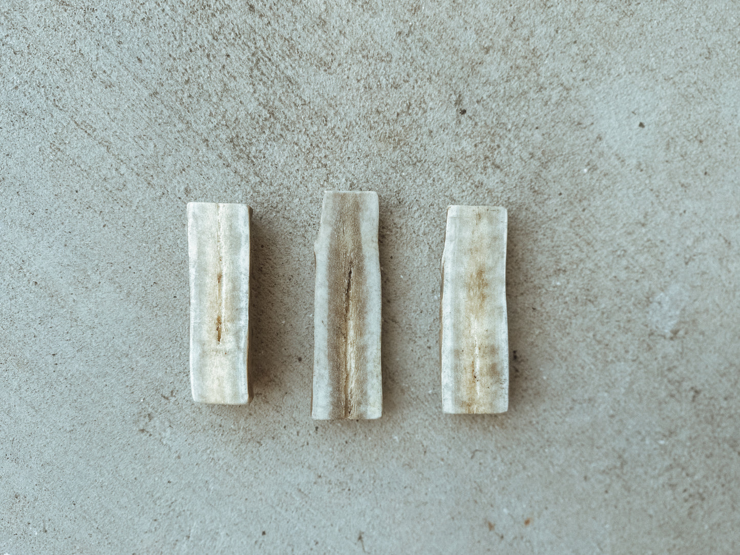 Small Split Antler