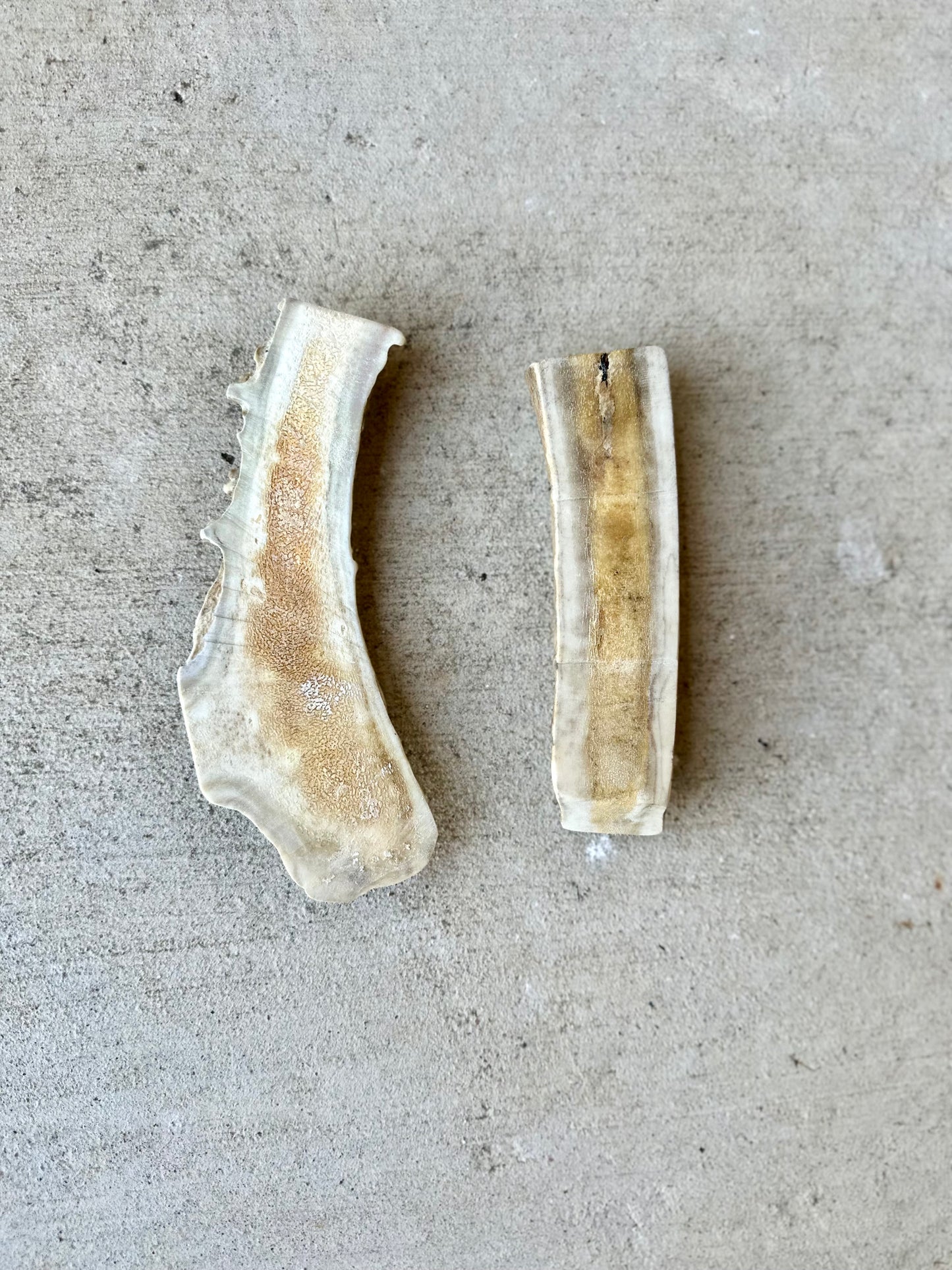 Medium Split (2 pack)