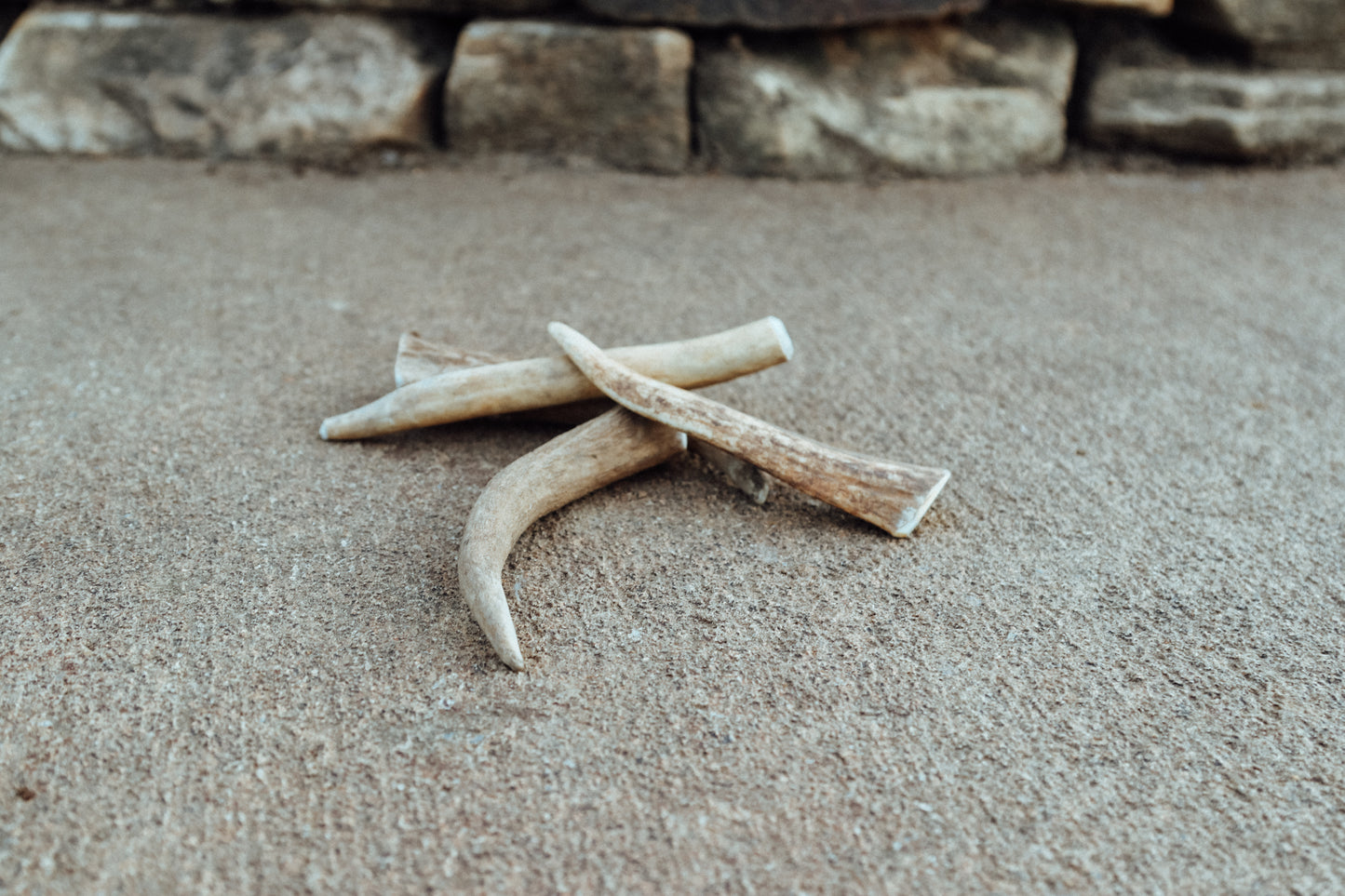 Small Antler Chew (2 pack)