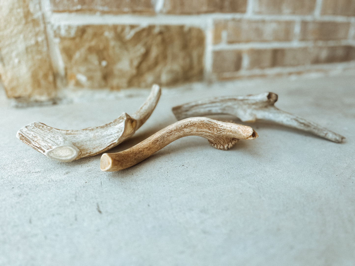 XL Antler Chew