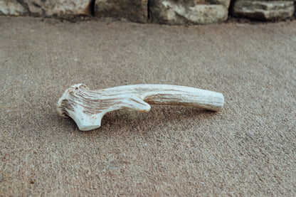 Large Antler Chew